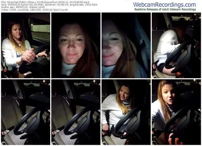 stripchat-s1nfullypurrfuct-11-24-2024-03-46-39