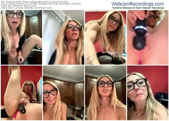 stripchat-harleyejoker-11-24-2024-11-01-40