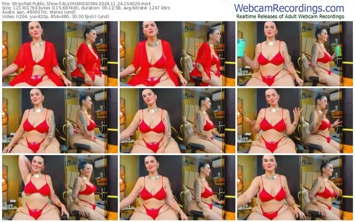 stripchat-alijohanssonn-11-24-2024-16-40-29