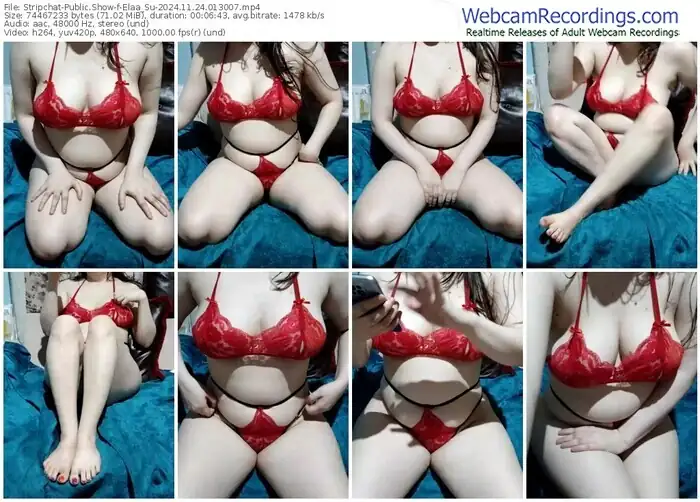stripchat-elaa_su-11-24-2024-01-30-07