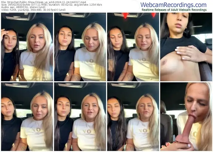 stripchat-keep_us_wild-11-24-2024-04-43-17