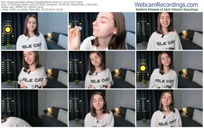 stripchat-meghanelson-11-24-2024-11-32-37