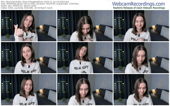 stripchat-meghanelson-11-24-2024-13-13-46