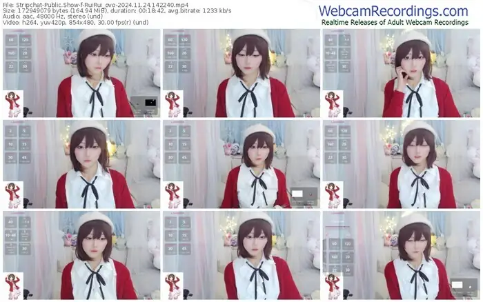 stripchat-ruirui_ovo-11-24-2024-14-22-40