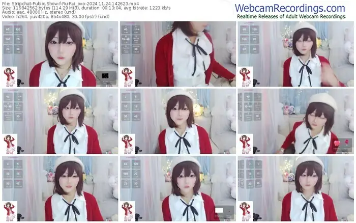 stripchat-ruirui_ovo-11-24-2024-14-26-23