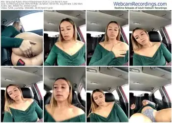 stripchat-stasywood-11-24-2024-06-14-15