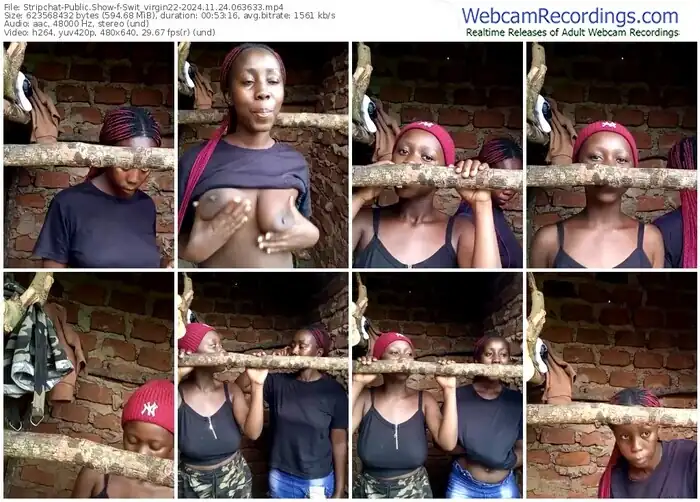 stripchat-swit_virgin22-11-24-2024-06-36-33