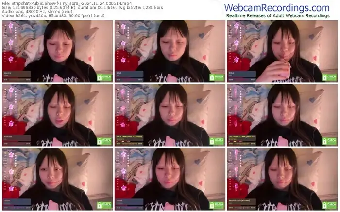 stripchat-tiny_sora_-11-24-2024-00-05-14