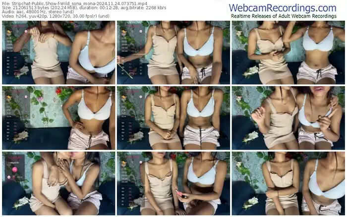 stripchat-wild_sona_mona-11-24-2024-07-37-51