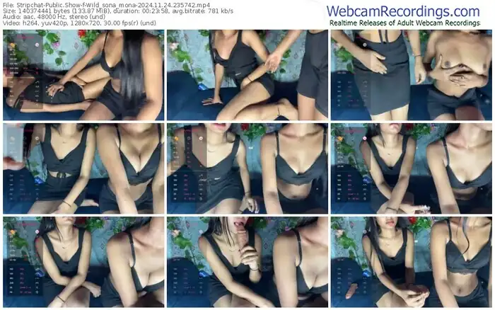 stripchat-wild_sona_mona-11-24-2024-23-57-42