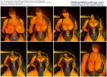 stripchat-yellowhoneydip-11-24-2024-17-26-54