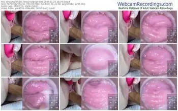 stripchat-danigirl866-11-24-2024-23-37-53