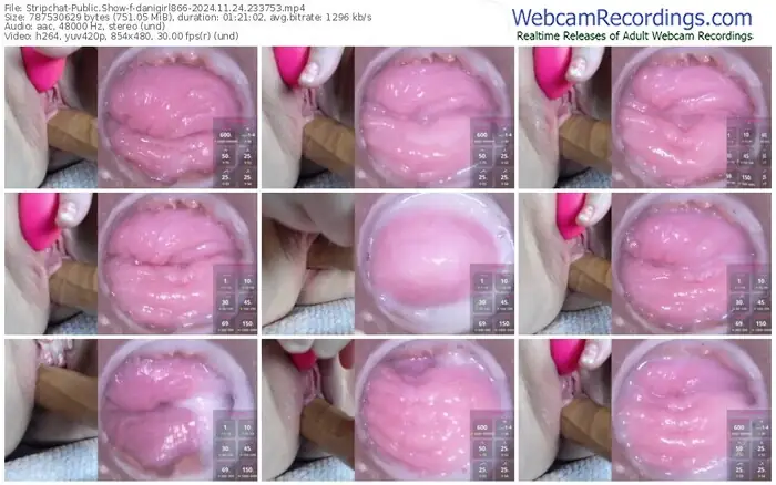 stripchat-danigirl866-11-24-2024-23-37-53