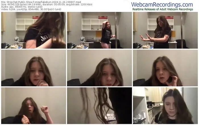 stripchat-snowflakebun-11-24-2024-23-08-07