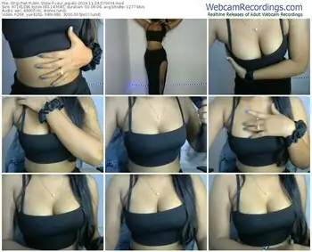 stripchat-your_payalji-11-24-2024-07-04-34