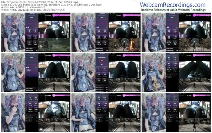 stripchat-z23002-11-24-2024-16-35-29