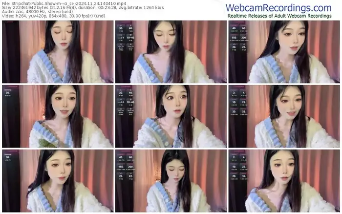 stripchat--ci_ci--11-24-2024-14-04-10