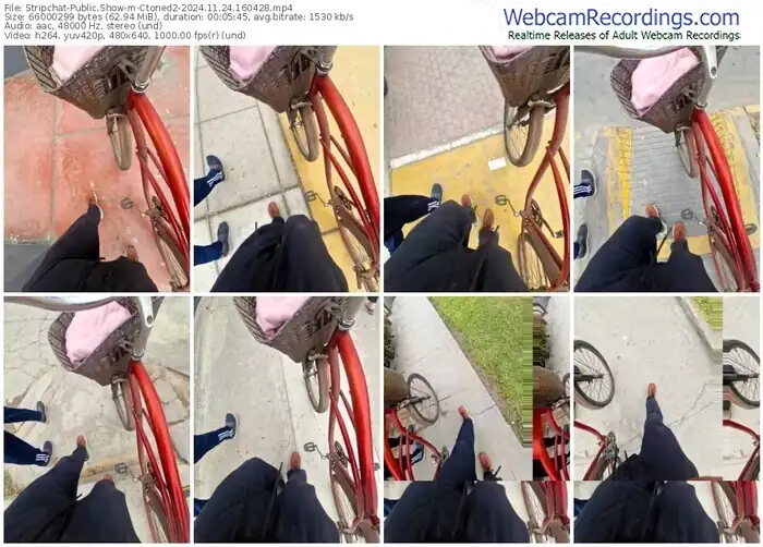 stripchat-ctoned2-11-24-2024-16-04-28