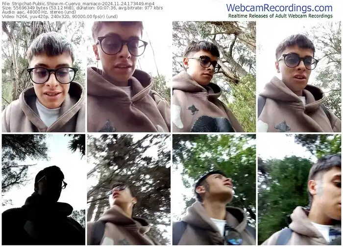 stripchat-cuervo_maniaco-11-24-2024-17-34-49