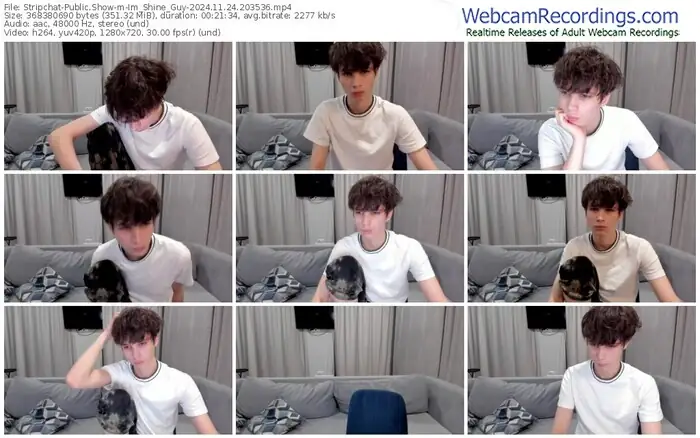stripchat-im_shine_guy-11-24-2024-20-35-36