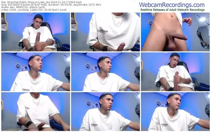 stripchat-liam_lee-11-24-2024-17-29-24