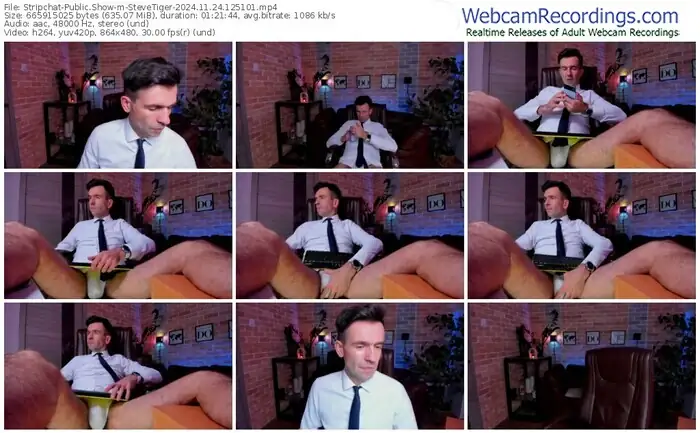 stripchat-stevetiger-11-24-2024-12-51-01