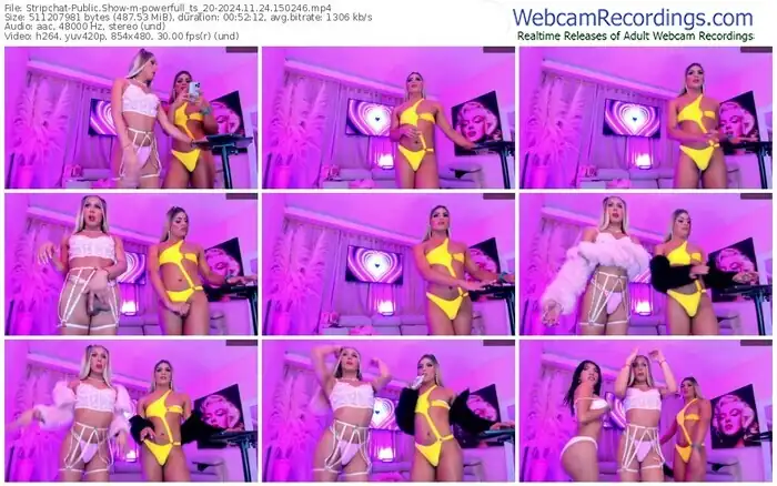 stripchat-powerfull_ts_20-11-24-2024-15-02-46