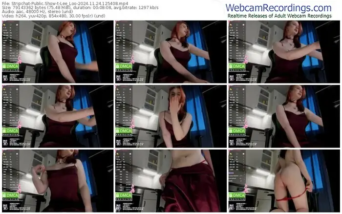 stripchat-lee_loo-11-24-2024-12-54-08