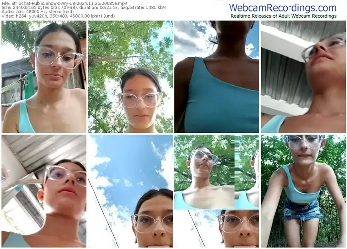 stripchat-ary-18-11-25-2024-20-08-56