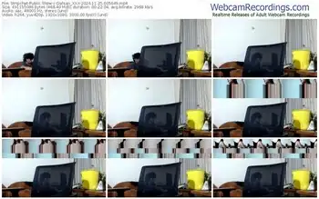 stripchat-dahian_xxx-11-25-2024-00-56-49