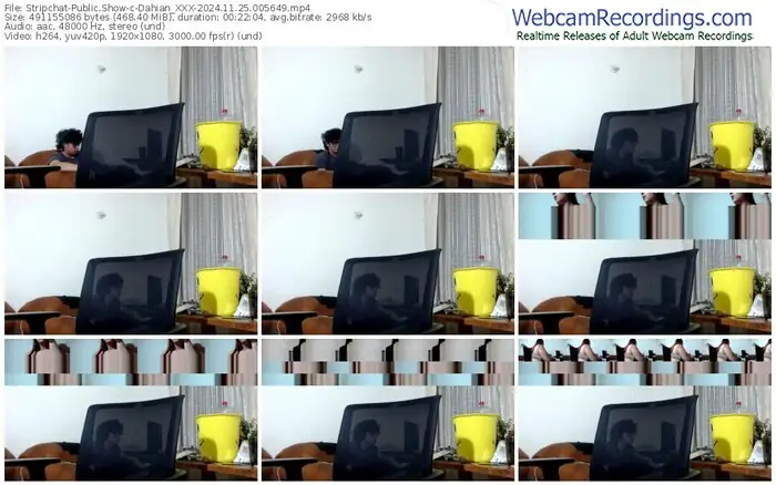 stripchat-dahian_xxx-11-25-2024-00-56-49