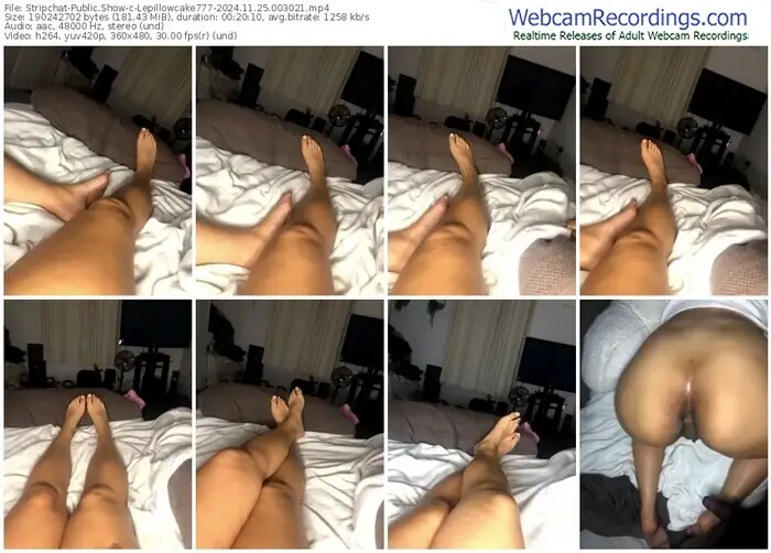 stripchat-lepillowcake777-11-25-2024-00-30-21