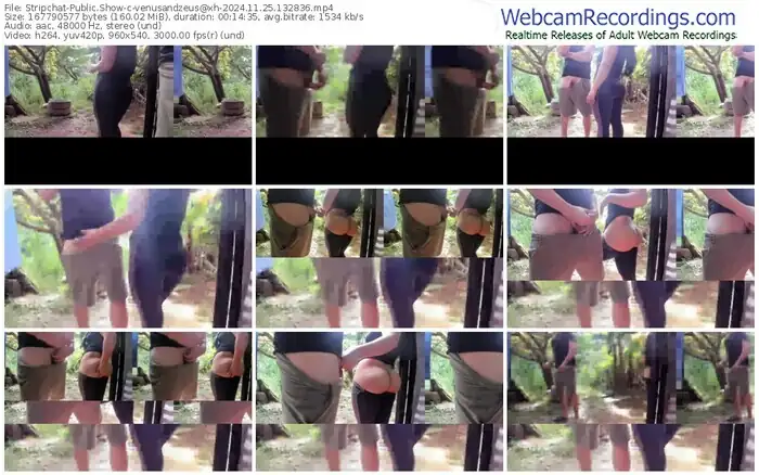 stripchat-venusandzeus@xh-11-25-2024-13-28-36