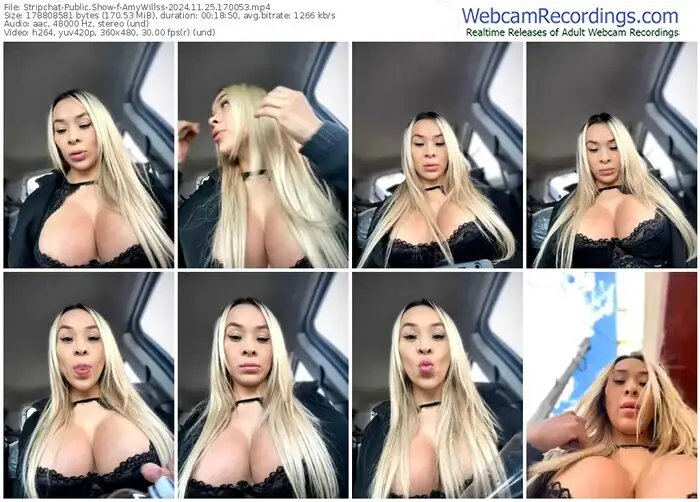 stripchat-amywillss-11-25-2024-17-00-53