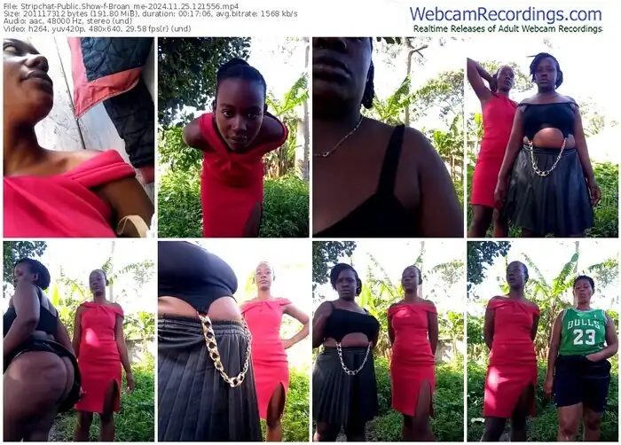 stripchat-broan_me-11-25-2024-12-15-56