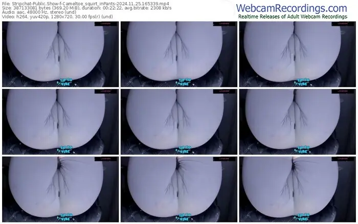 stripchat-cameltoe_squirt_inpants-11-25-2024-16-53-39