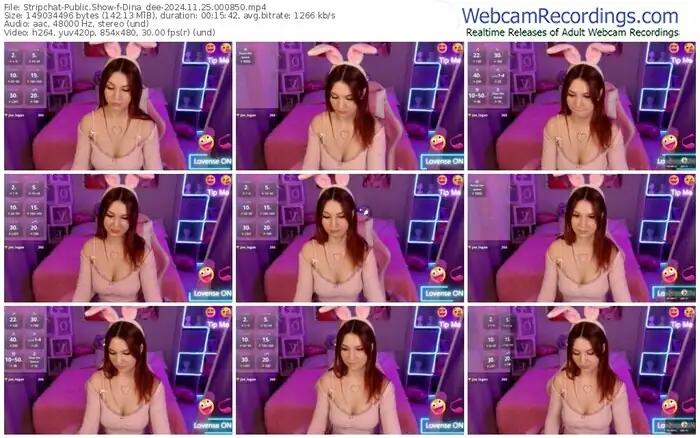 stripchat-dina_dee-11-25-2024-00-08-50