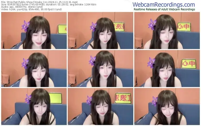 stripchat-koala_cici-11-25-2024-11-21-31