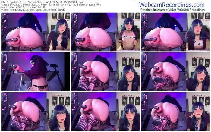 stripchat-nixycrow11-11-25-2024-05-03-24