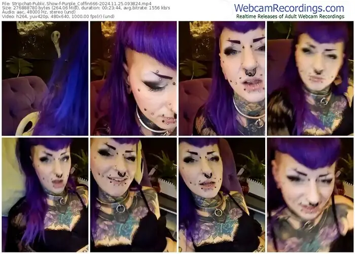 stripchat-purple_coffin666-11-25-2024-09-38-24