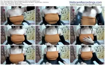 stripchat-reika_01-11-25-2024-19-45-54