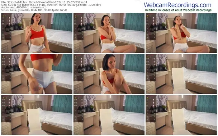stripchat-sheenaellen-11-25-2024-07-45-32