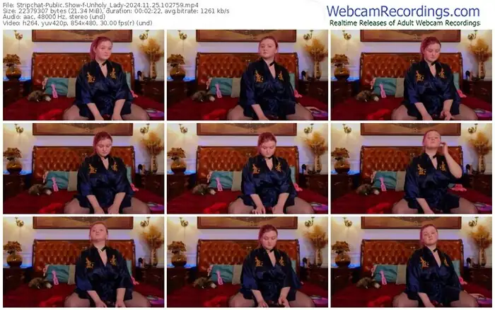 stripchat-unholy_lady-11-25-2024-10-27-59