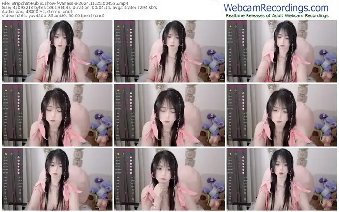 stripchat-vaness-a-11-25-2024-00-45-35