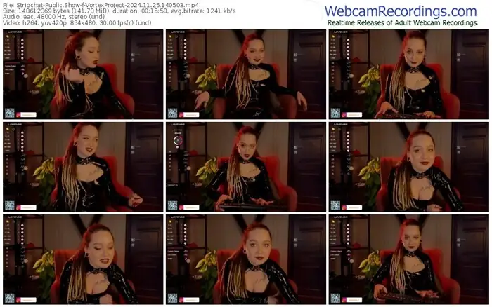 stripchat-vortexproject-11-25-2024-14-05-03