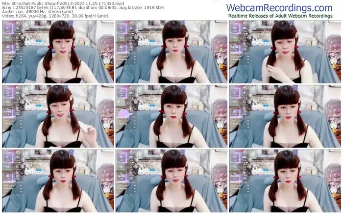 stripchat-a0513-11-25-2024-17-14-33