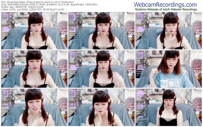 stripchat-a0513-11-25-2024-17-29-40