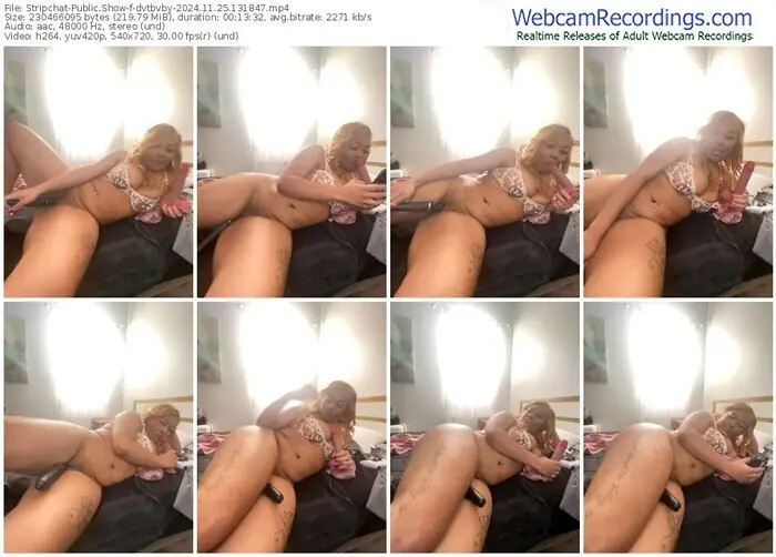 stripchat-dvtbvby-11-25-2024-13-18-47