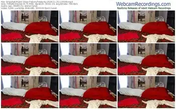 stripchat-ebonyfreaky4u-11-25-2024-12-03-48