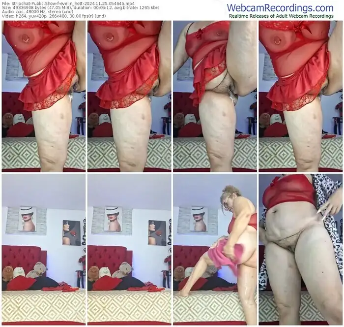 stripchat-evelin_hott-11-25-2024-05-46-45